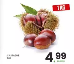 Castagne Castagne