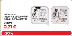Special Dog - Fresh Pate E Bocconcini