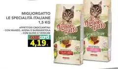 Morando - Miglior Gatto Morando - Miglior Gatto