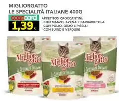 Morando - Miglior Gatto Morando - Miglior Gatto