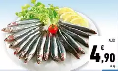 Alici