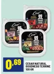 Cesar -  Natural Cesar -  Natural