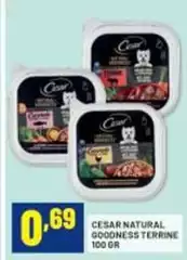Cesar -  Natural Cesar -  Natural