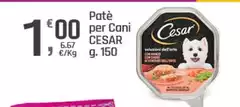 Cesar - Patè Per Cani Cesar - Patè Per Cani
