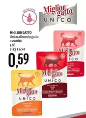 Morando - Miglior Gatto