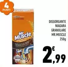 Mr muscle - Disgorgante Niagara Granulare