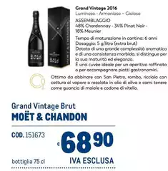 Brut - Grand Vintage  Moët & Chandon