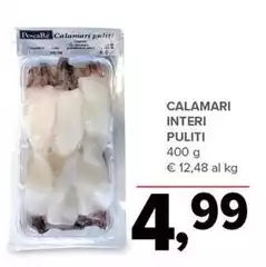 Pescare - Calamari Interi Puliti