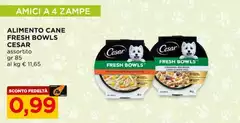 Cesar - Alimento Cane Fresh Bowls Cesar - Alimento Cane Fresh Bowls