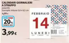 Misura - Calendario Giornalieri A Strappo Misura - Calendario Giornalieri A Strappo
