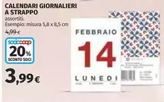 Misura - Calendario Giornalieri A Strappo Misura - Calendario Giornalieri A Strappo