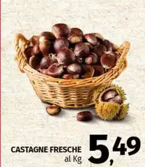 Castagne Fresche