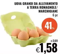 Uova Grandi Da Allevamento A Terra Romagnole/ Marchigiane Uova Grandi Da Allevamento A Terra Romagnole/ Marchigiane