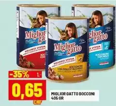 Morando - Miglior Gatto Bocconi