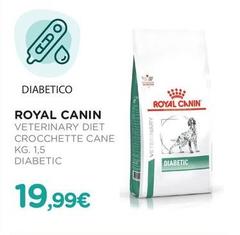 Royal Canin - Veterinary Diet Crocchette Cane Diabetic 