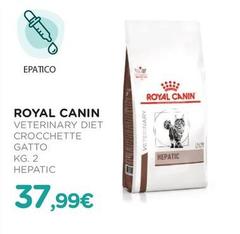 Royal Canin - Veterinary Diet Crocchette Gatto Hepatic 