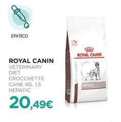 Royal Canin - Veterinary Diet Crocchette Cane Hepatic 