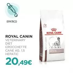 Royal Canin - Veterinary Diet Crocchette Cane Hepatic 