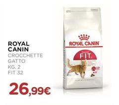 Royal Canin - Crocchette Gatto Fit 32