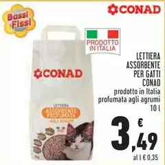 Bassi - Lettiera Assorbente Per Gatti Bassi - Lettiera Assorbente Per Gatti
