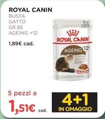 Royal Canin - Busta Gatto Ageing +12