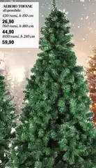 Albero Tofane Albero Tofane