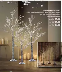 Albero Luminoso Albero Luminoso