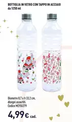 Bottiglia In Vetro Con Tappo In Acciaio Bottiglia In Vetro Con Tappo In Acciaio