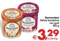 Sammontana - Delizie Barattolino Sammontana - Delizie Barattolino