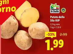 Patate Della Sila IGP Patate Della Sila IGP