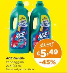 Ace - Gentile