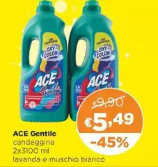 Ace - Gentile
