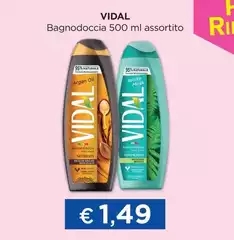 Vidal - Bagnodoccia