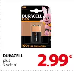 Duracell - Plus Duracell - Plus