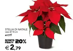 Stella - Di Natale Stella - Di Natale