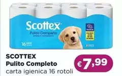 Scottex - Pulito Completo Scottex - Pulito Completo