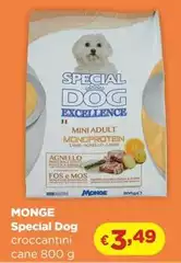 Monge - Special Dog