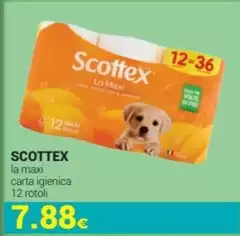 Scottex - La Maxi Carta Igienica Scottex - La Maxi Carta Igienica