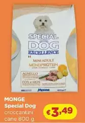 Monge - Special Dog