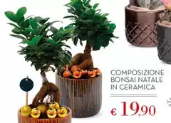 Composizione Bonsai Natale In Ceramica Composizione Bonsai Natale In Ceramica