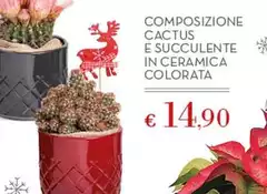 Composizione Cactus E Succulente In Ceramica Colorata Composizione Cactus E Succulente In Ceramica Colorata