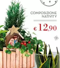 Composizione Nativity Composizione Nativity