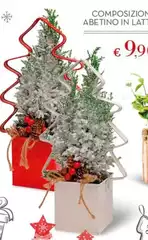 Composizione Abetino In Lat Composizione Abetino In Lat