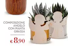 Composizione Angelo Con Pianta Grassa Composizione Angelo Con Pianta Grassa