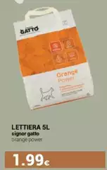 Signor Gatto - Lettiera