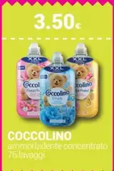 Coccolino - Ammorbidente Concentrato