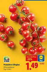 Pomodoro Ciliegino Pomodoro Ciliegino