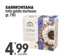 Sammontana - Torta Gelato Duchessa Sammontana - Torta Gelato Duchessa