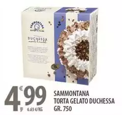 Sammontana - Torta Gelato Duchessa Sammontana - Torta Gelato Duchessa