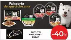 Cesar - Su Tutti I Prodotti